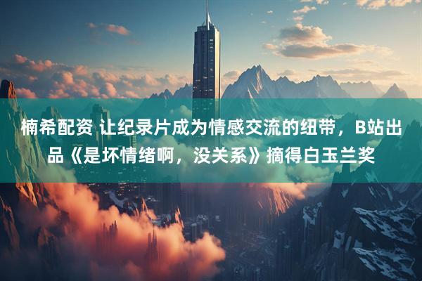 楠希配资 让纪录片成为情感交流的纽带，B站出品《是坏情绪啊，没关系》摘得白玉兰奖