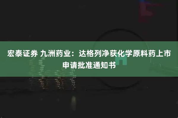 宏泰证券 九洲药业：达格列净获化学原料药上市申请批准通知书