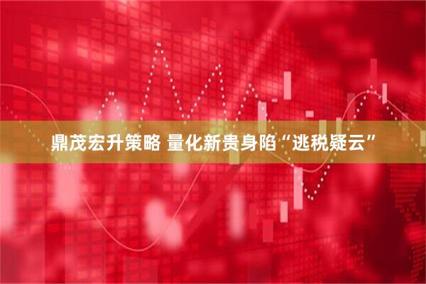 鼎茂宏升策略 量化新贵身陷“逃税疑云”
