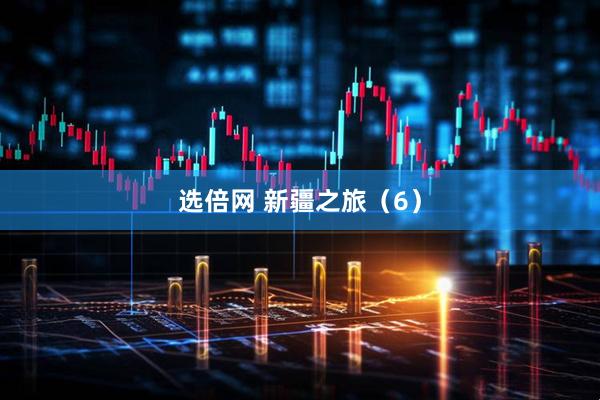选倍网 新疆之旅（6）